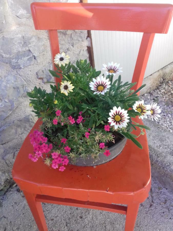 Apartment Rojal Mali Lošinj Exteriör bild